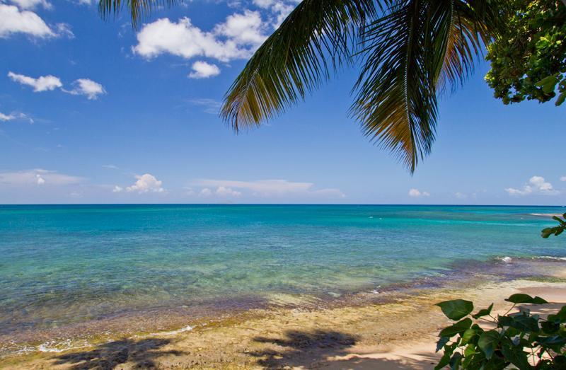 Tres Palmas Inn And Villas Rincon Esterno foto